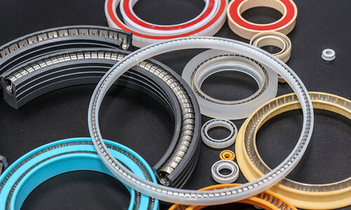 SPRING ENERGIZED SEAL  |Products