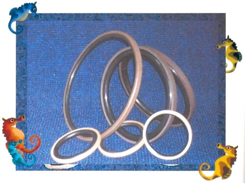 SEAL_SPGO  |Specifications|WEAR RING